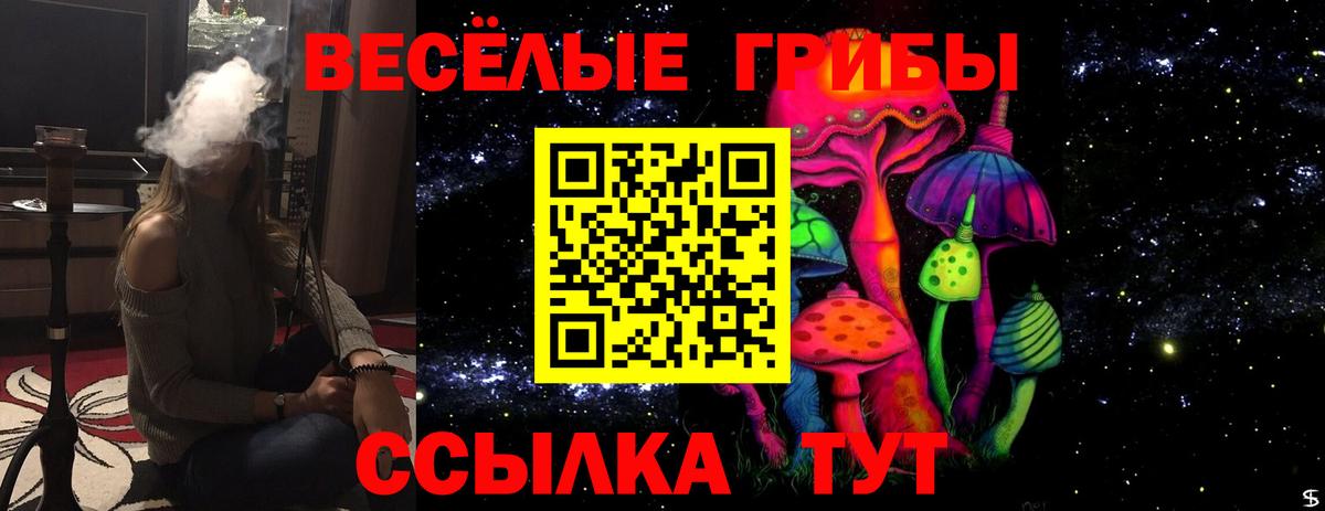 Галлюциногенные грибы Psilocybine cubensis Унеча