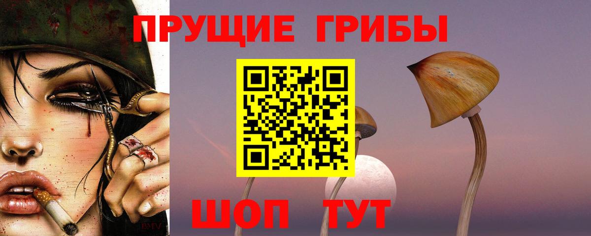 Унеча  Псилоцибиновые грибы Magic Shrooms  Вход с VPN 